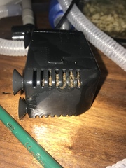 Is this a dead frog blocking the pump?