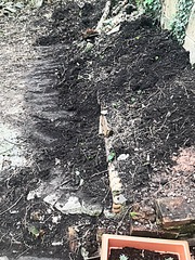 North facing neglected garden help