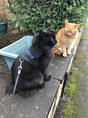 Show and tell!