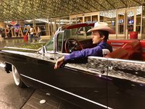 Swagger Inn 155 - it’s Springtime, time to frolic and gambol with the HBFs