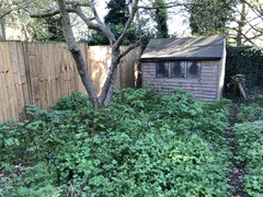 Please help me with a difficult spot.