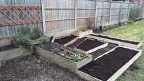 Allotment/Veg patch thread 11 'We bid  farewell to rainbow leaves but will keep plotting along'