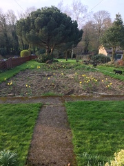 Allotment/Veg patch thread 11 'We bid  farewell to rainbow leaves but will keep plotting along'