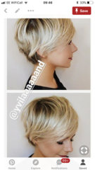 Fine fluffy lifeless hair: should I go back to pixie?