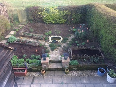 Allotment/Veg patch thread 11 'We bid  farewell to rainbow leaves but will keep plotting along'