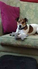 Feeding our JRT