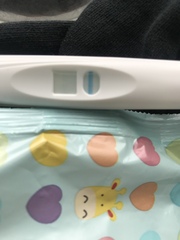 Bfp or evap help? (After taking MAP) pics