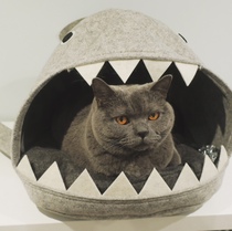 Wow she’s actuallu using a bed made for cats!