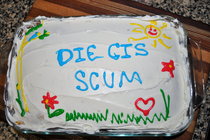 Cis as a slur
