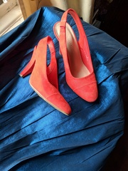 Peacock and orange? (Pic)