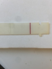 Can someone look at this preg test please?