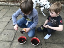 Mumsnet users review innocent’s at home growing kits