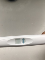 Bfp or evap help? (After taking MAP) pics