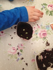 Mumsnet users review innocent’s at home growing kits