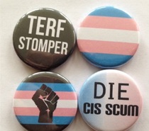 Cis as a slur