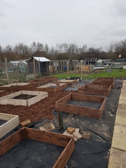 Allotment/Veg patch thread 11 'We bid  farewell to rainbow leaves but will keep plotting along'