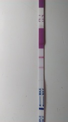 Is this opk positive??