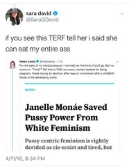 Feminist playgroup mention of TERFs...