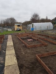 Allotment/Veg patch thread 11 'We bid  farewell to rainbow leaves but will keep plotting along'