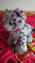 Find out what MNers and their DC’s got up to at the Build-A-Bear Workshop! NOW CLOSED!