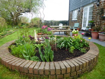 Here's pictures of my garden!