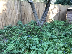 Please help me with a difficult spot.