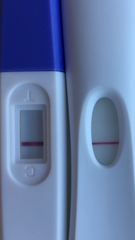 Who’s TTC a Christmas Baby. March 2018