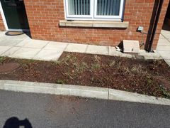 Ideas needed please