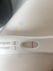 Can someone look at this preg test please?