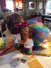 Find out what MNers and their DC’s got up to at the Build-A-Bear Workshop! NOW CLOSED!