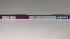 Is this opk positive??