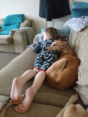 Help me choose a breed