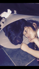 To ask the best dog breed for a child with autism