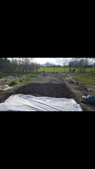 Allotment/Veg patch thread 11 'We bid  farewell to rainbow leaves but will keep plotting along'