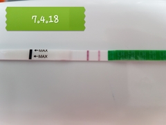 Is this normal? OPKs.