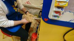 Find out what MNers and their DC’s got up to at the Build-A-Bear Workshop! NOW CLOSED!