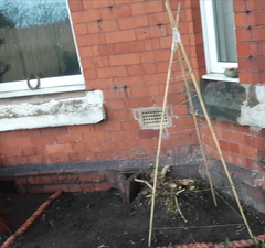 Will these supports work for runner beans? Also general garden advice?