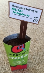 Mumsnet users review innocent’s at home growing kits