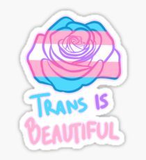 Excellent article on the problem of transphobia