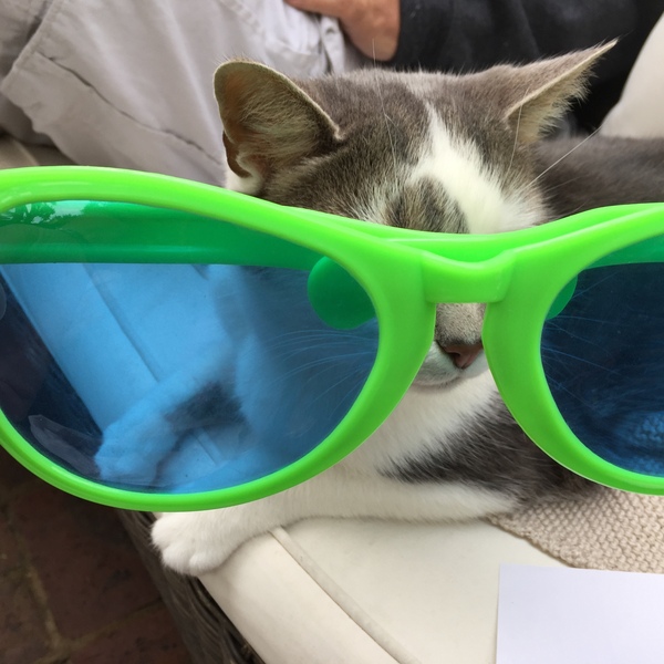 Thread 2! Woolly Hugs. Chernobyl 2018 is HERE!!!