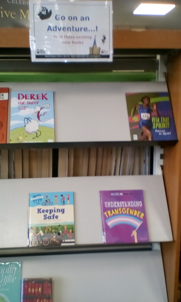 AIBU about this book at the library?