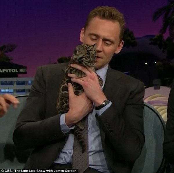 Swagger Inn 155 - it’s Springtime, time to frolic and gambol with the HBFs