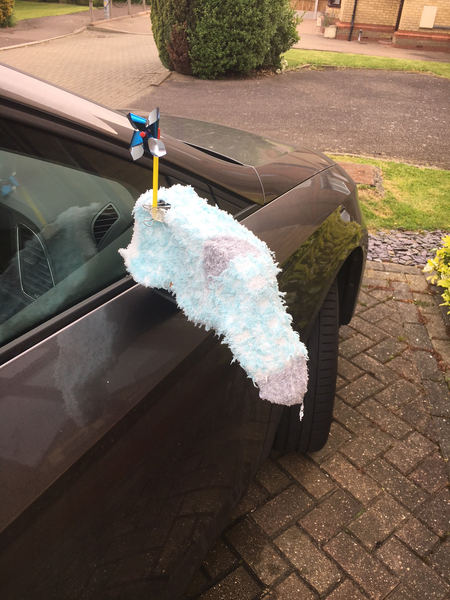 To want this bird to leave my car wing mirrors alone and stop shitting on my car
