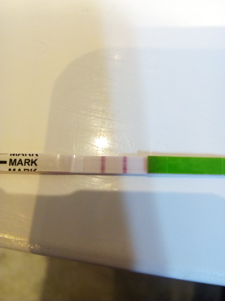 TTC after miscarriage Thread 21. JKS