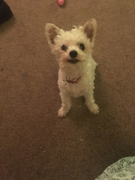 Ok, I give up!  What is she?  Answers on a postcard please