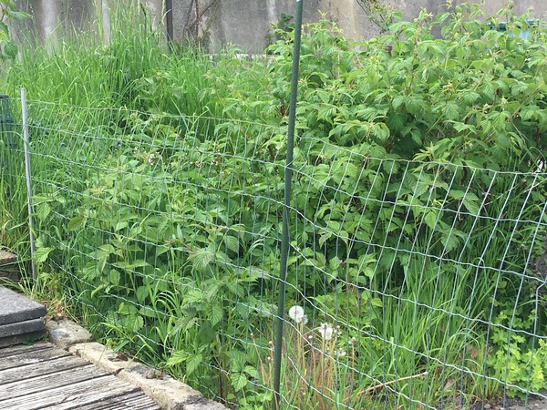 What do I do (photo attached)