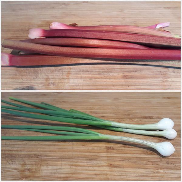 Allotment/Veg Patch Thread 12! Plotmenters hoping for better weather