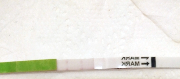 Two faint lines on ovulation test