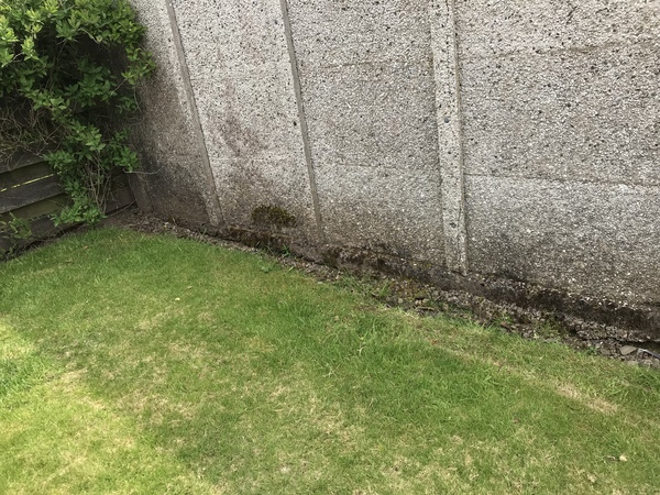 Soil border round grass - drainage?