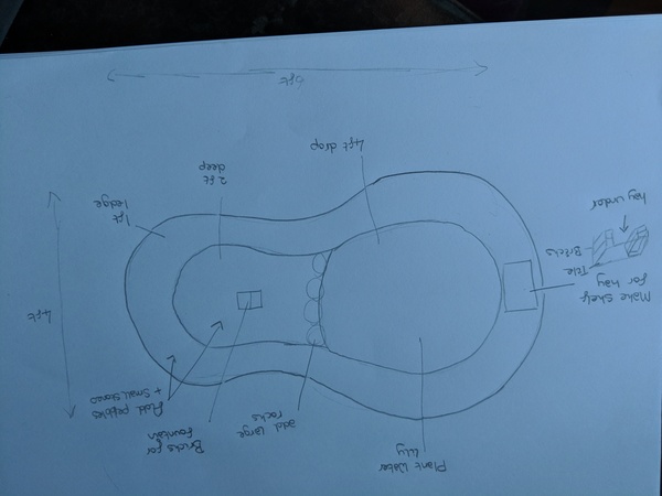 I have made a huge mistake - help with pond
